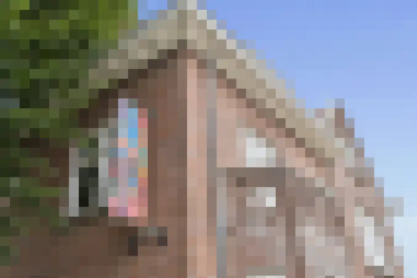 Scherpenheuvelstraat 41 Tilburg thumbnail 47