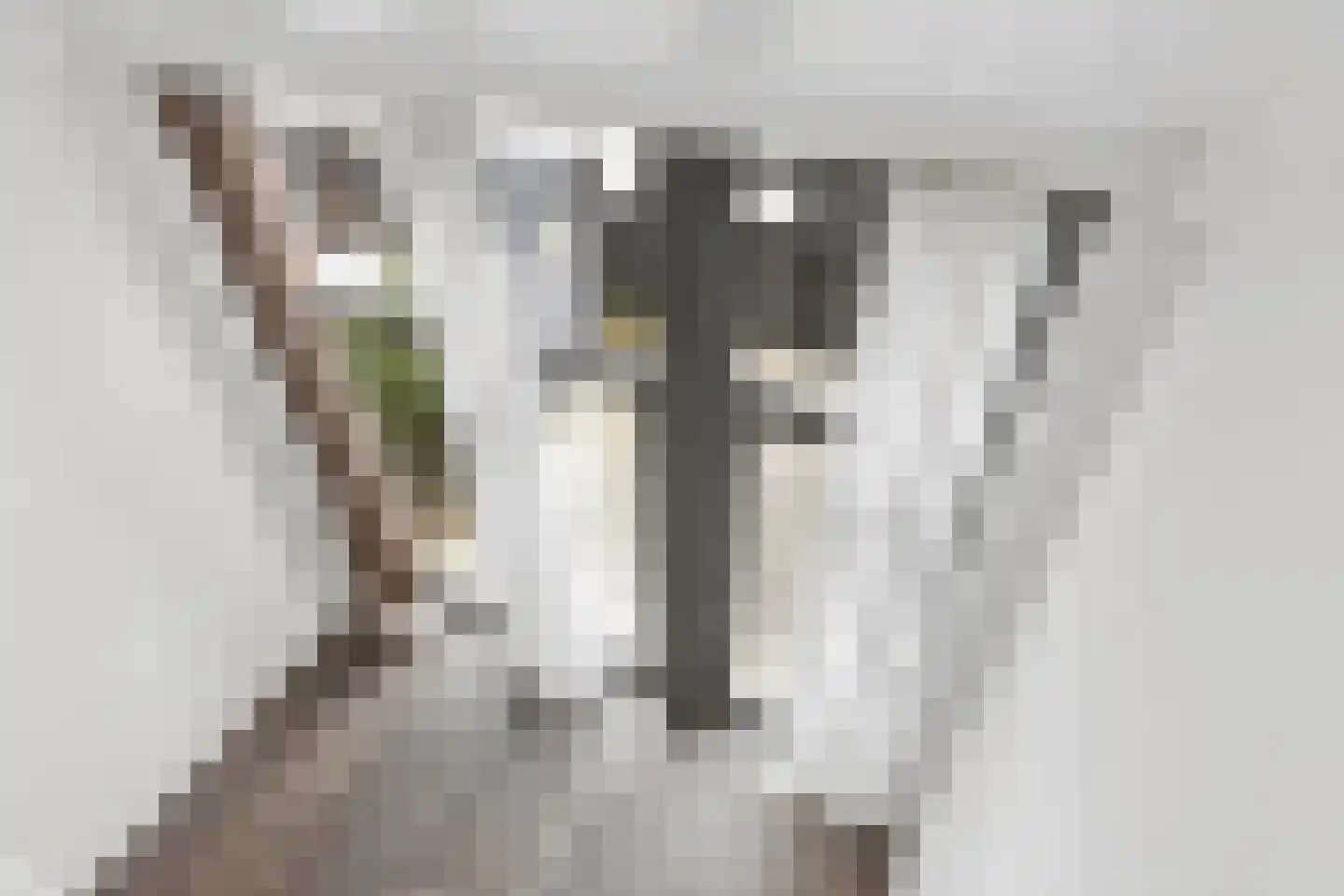 Scherpenheuvelstraat 41 Tilburg thumbnail 5