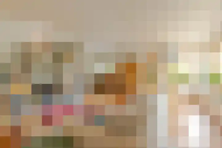 Scherpenhoek 13 Rotterdam thumbnail 14