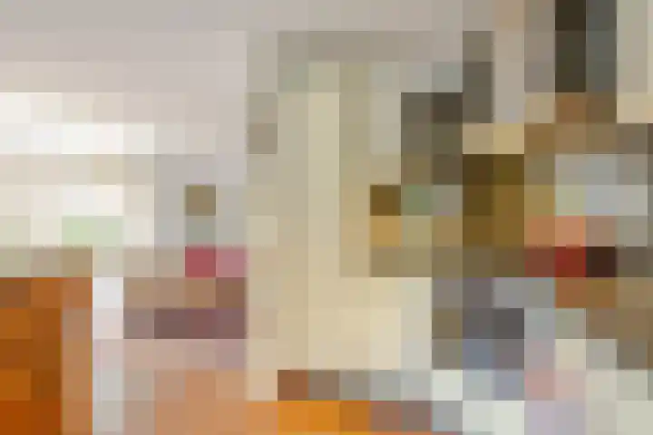 Scherpenhoek 13 Rotterdam thumbnail 18