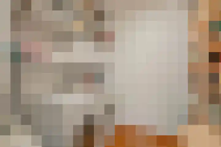 Scherpenhoek 13 Rotterdam thumbnail 21