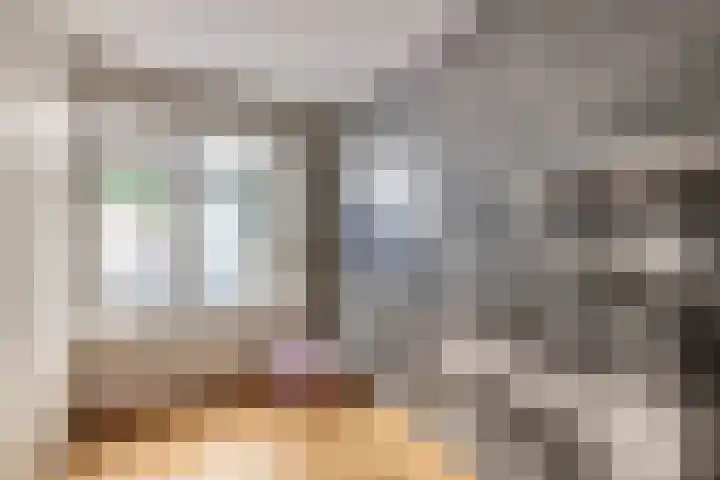 Scherpenhof 32 Amstelveen thumbnail 11