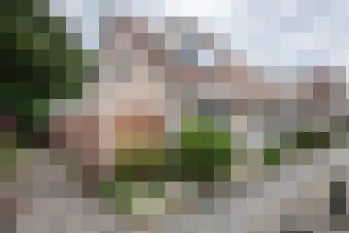 Scherpenhof 32 Amstelveen thumbnail 4