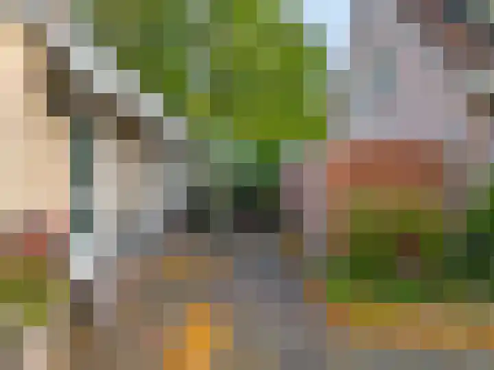Scherpenhof 34 Amstelveen thumbnail 23