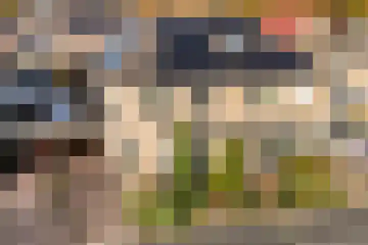 Scherpenzeel 17 in Raalte