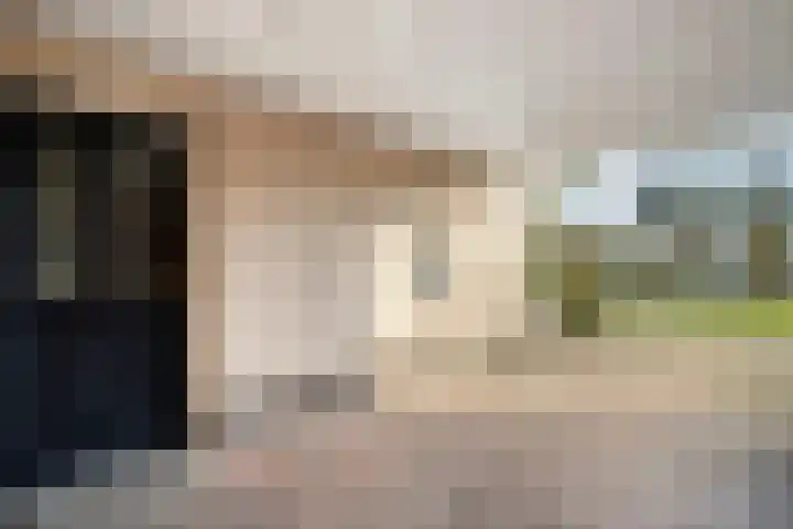 Scherpenzeel 17 Raalte thumbnail 11
