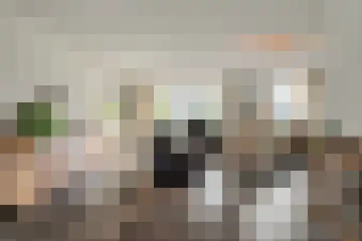 Scherpenzeel 17 Raalte thumbnail 18