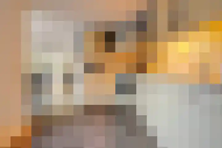 Scherpenzeel 17 Raalte thumbnail 21