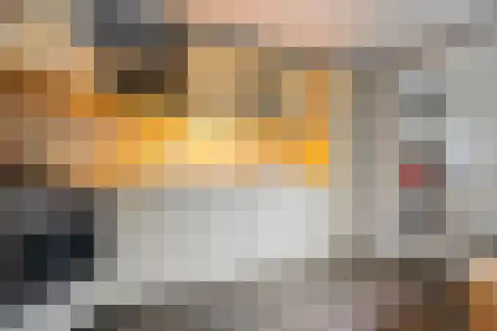 Scherpenzeel 17 Raalte thumbnail 22