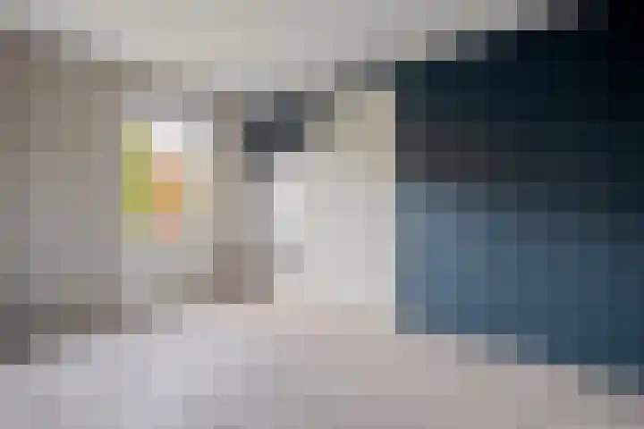 Scherpenzeel 17 Raalte thumbnail 26