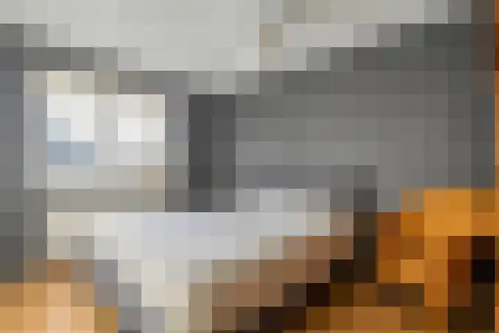 Scherpenzeel 17 Raalte thumbnail 29