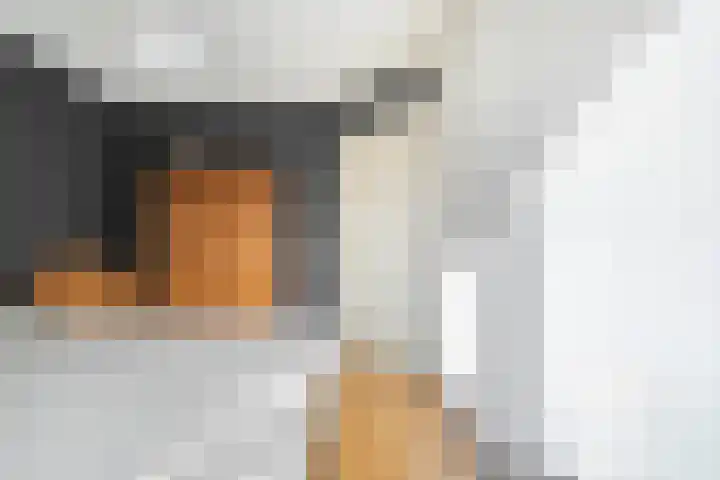 Scherpenzeel 17 Raalte thumbnail 30