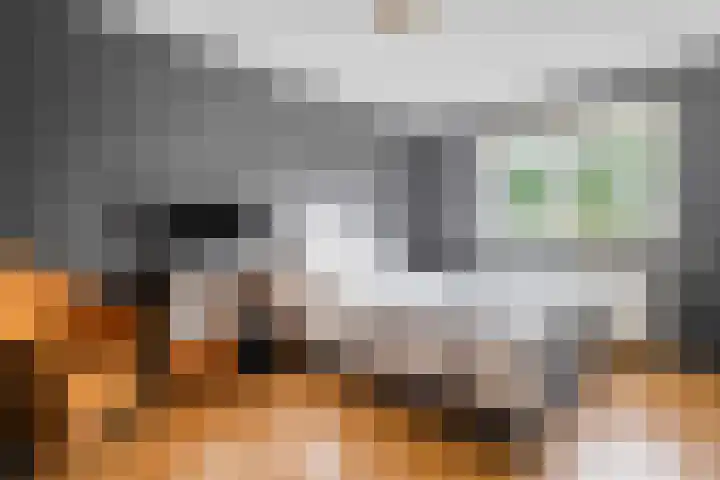 Scherpenzeel 17 Raalte thumbnail 31