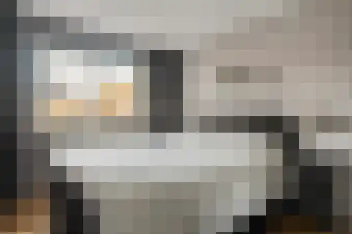 Scherpenzeel 17 Raalte thumbnail 35