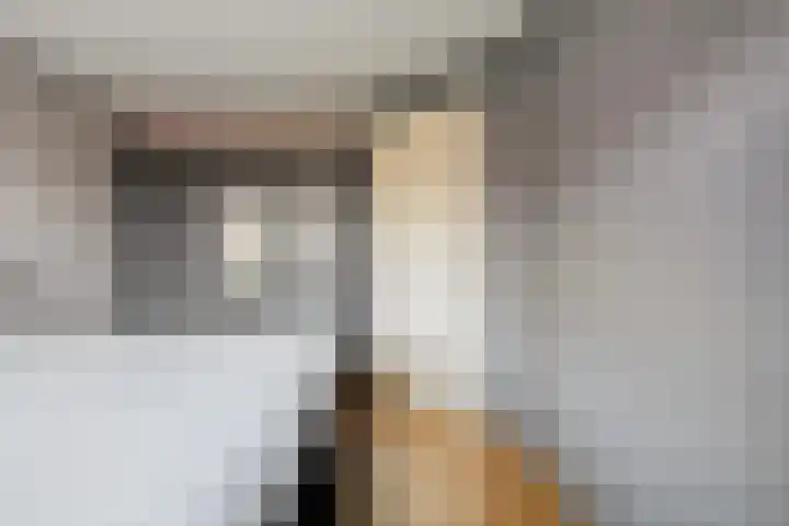 Scherpenzeel 17 Raalte thumbnail 36