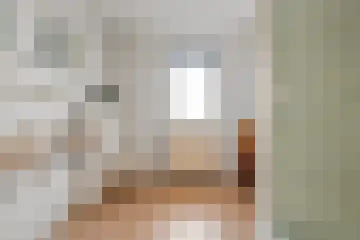 Scherpenzeel 17 Raalte thumbnail 38
