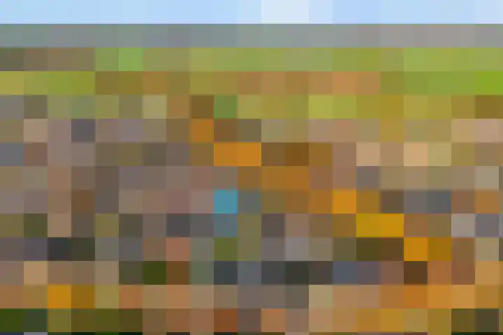 Scherpenzeel 17 Raalte thumbnail 4