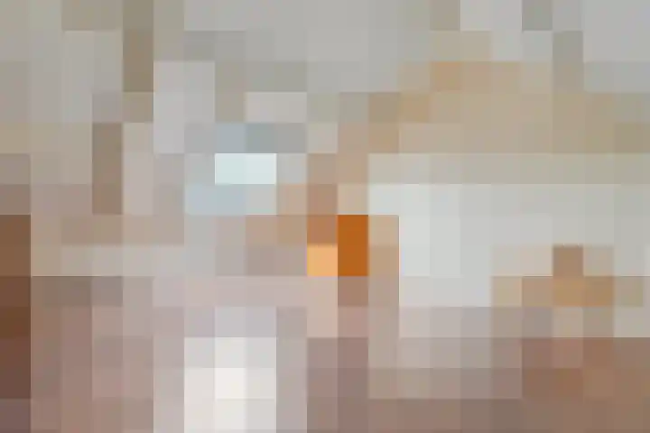 Scherpenzeel 17 Raalte thumbnail 40