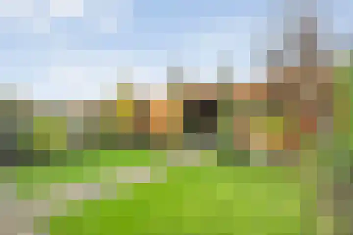 Scherpenzeel 17 Raalte thumbnail 44