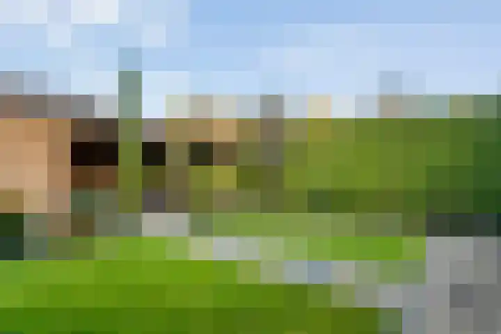 Scherpenzeel 17 Raalte thumbnail 45