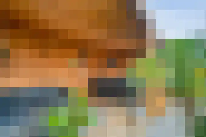 Scherpenzeel 17 Raalte thumbnail 48