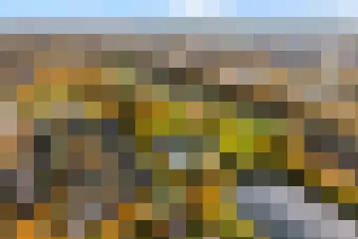 Scherpenzeel 17 Raalte thumbnail 5