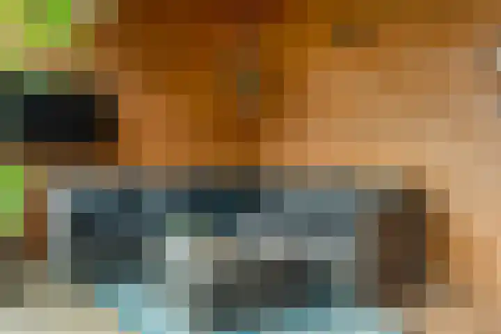 Scherpenzeel 17 Raalte thumbnail 51