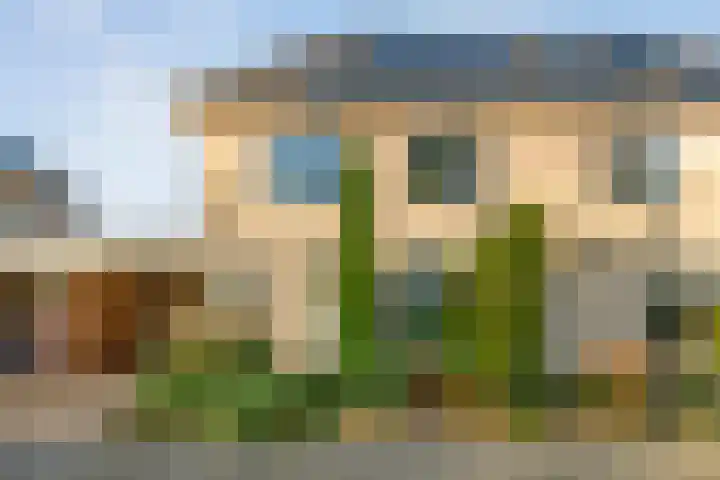 Scherpenzeel 17 Raalte thumbnail 6