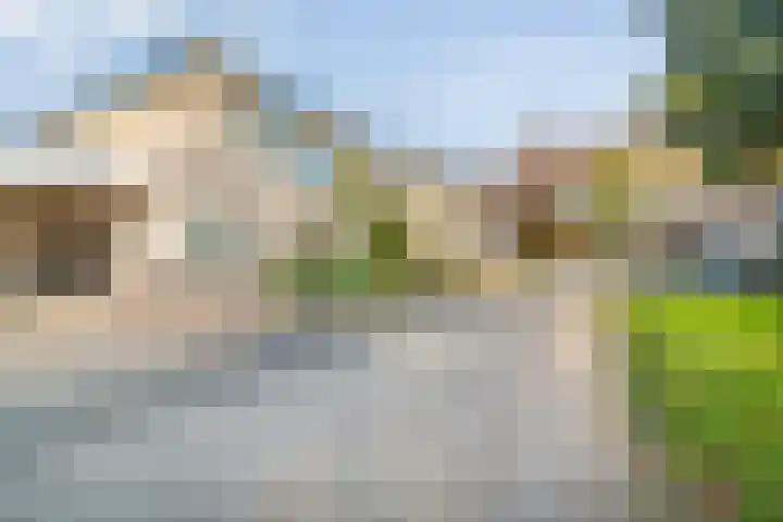 Scherpenzeel 17 Raalte thumbnail 7
