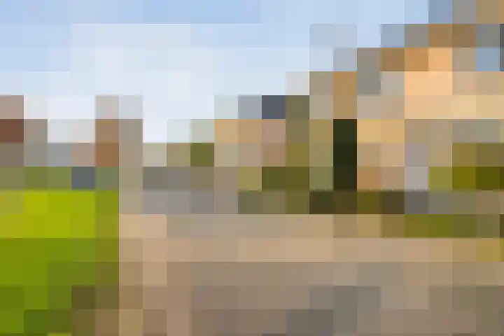 Scherpenzeel 17 Raalte thumbnail 8