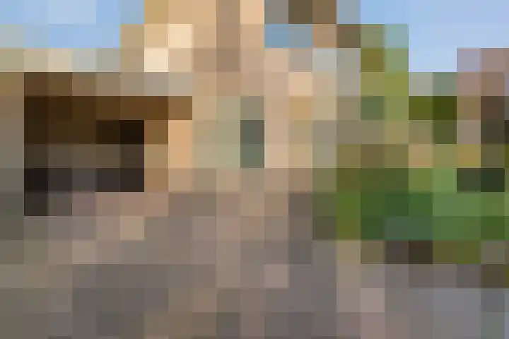 Scherpenzeel 17 Raalte thumbnail 9