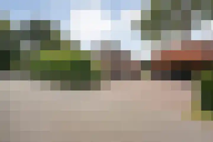 Scherpenzeelseweg 13 Wijhe thumbnail 10