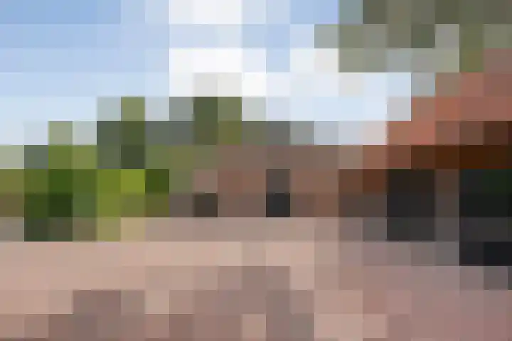 Scherpenzeelseweg 13 Wijhe thumbnail 12