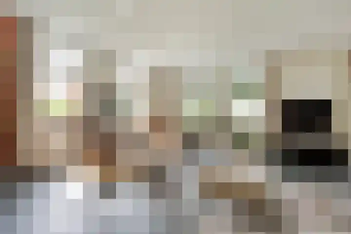 Scherpenzeelseweg 13 Wijhe thumbnail 15