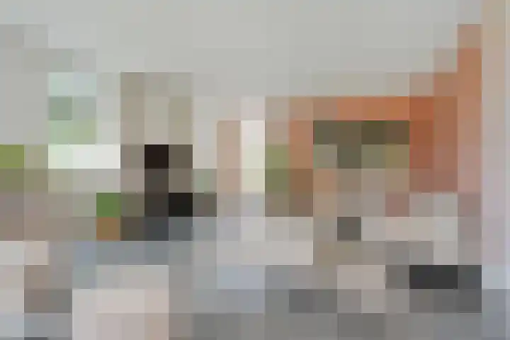 Scherpenzeelseweg 13 Wijhe thumbnail 17