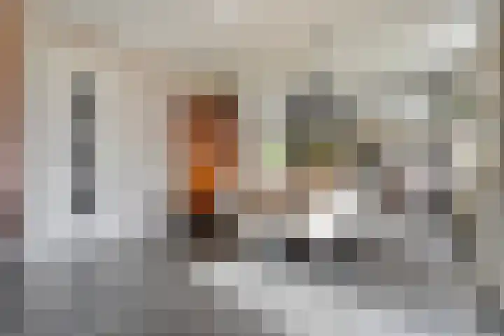 Scherpenzeelseweg 13 Wijhe thumbnail 20