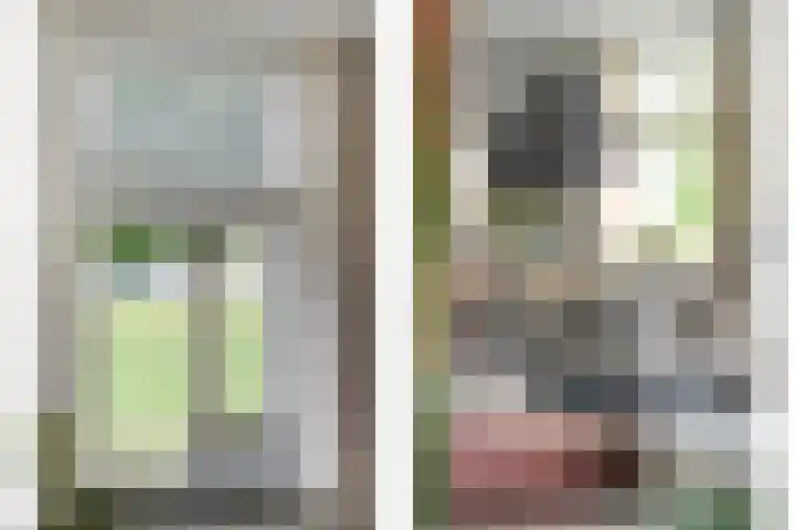 Scherpenzeelseweg 13 Wijhe thumbnail 21