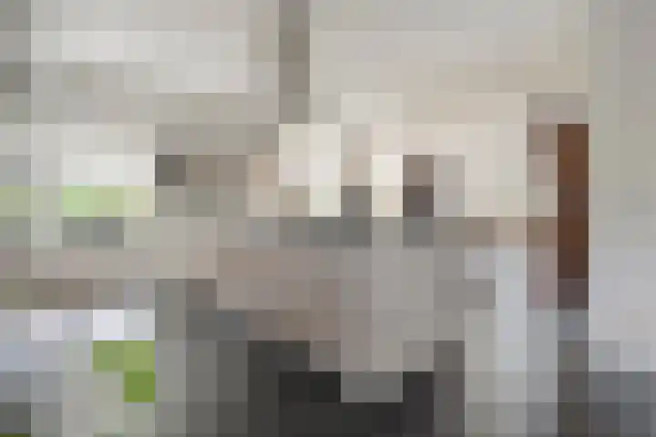 Scherpenzeelseweg 13 Wijhe thumbnail 23
