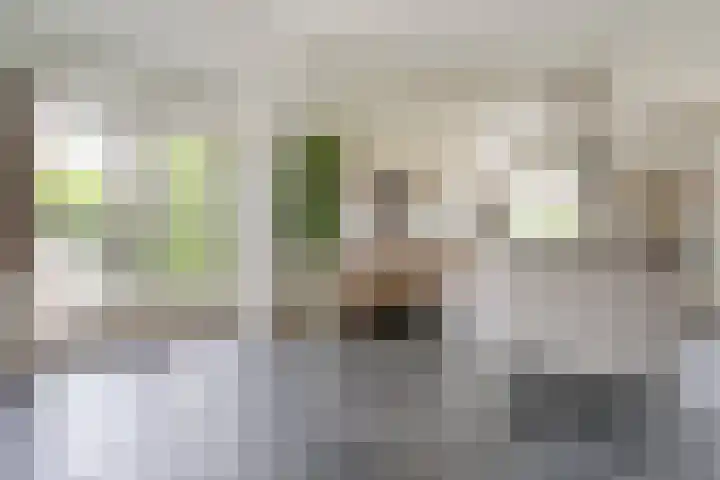 Scherpenzeelseweg 13 Wijhe thumbnail 24