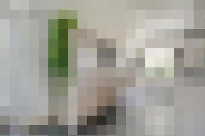 Scherpenzeelseweg 13 Wijhe thumbnail 26