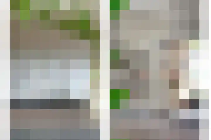 Scherpenzeelseweg 13 Wijhe thumbnail 27