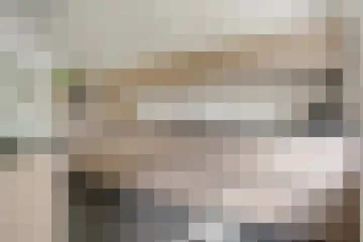 Scherpenzeelseweg 13 Wijhe thumbnail 28