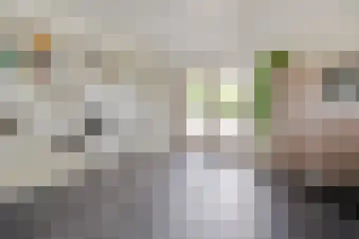 Scherpenzeelseweg 13 Wijhe thumbnail 30
