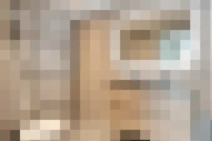Scherpenzeelseweg 13 Wijhe thumbnail 33