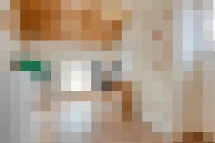 Scherpenzeelseweg 13 Wijhe thumbnail 35