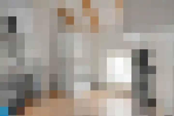 Scherpenzeelseweg 13 Wijhe thumbnail 37