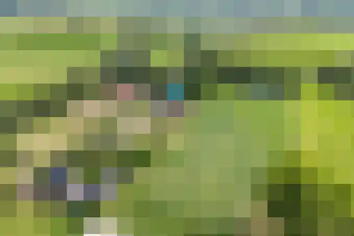 Scherpenzeelseweg 13 Wijhe thumbnail 4