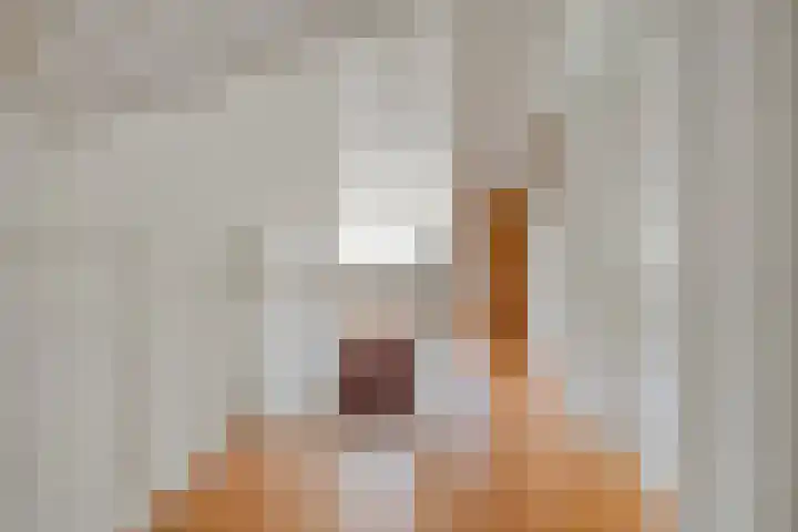Scherpenzeelseweg 13 Wijhe thumbnail 42
