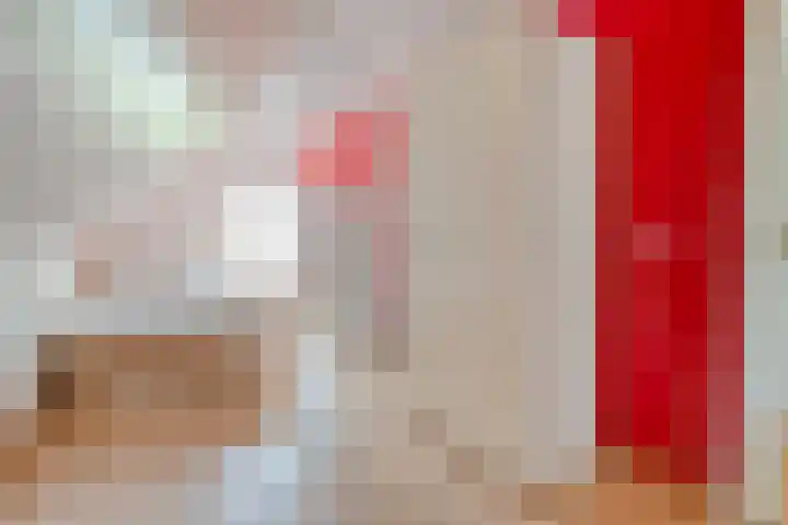 Scherpenzeelseweg 13 Wijhe thumbnail 45