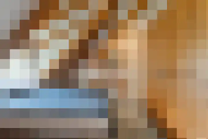 Scherpenzeelseweg 13 Wijhe thumbnail 47